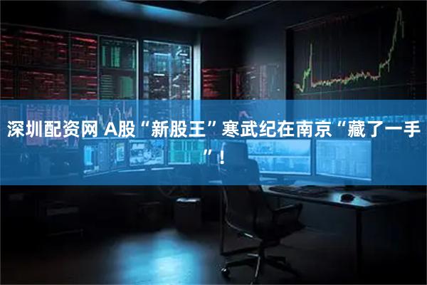 深圳配资网 A股“新股王”寒武纪在南京“藏了一手”！