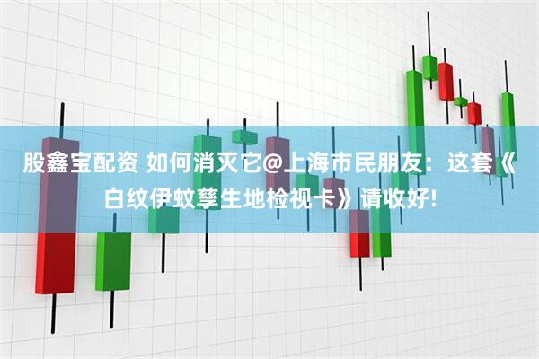 股鑫宝配资 如何消灭它@上海市民朋友：这套《白纹伊蚊孳生地检视卡》请收好!