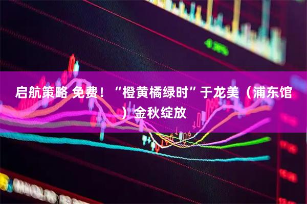 启航策略 免费！“橙黄橘绿时”于龙美（浦东馆）金秋绽放