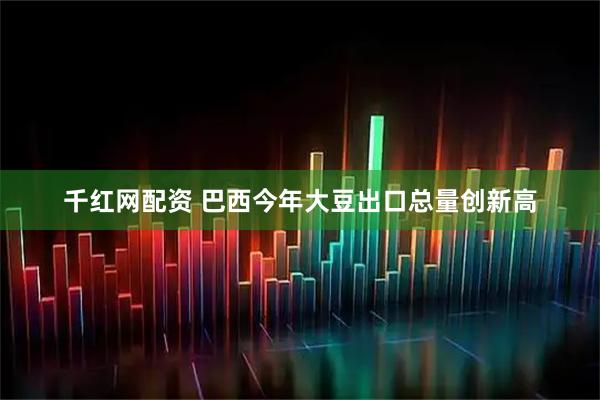 千红网配资 巴西今年大豆出口总量创新高