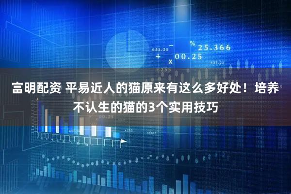 富明配资 平易近人的猫原来有这么多好处！培养不认生的猫的3个实用技巧
