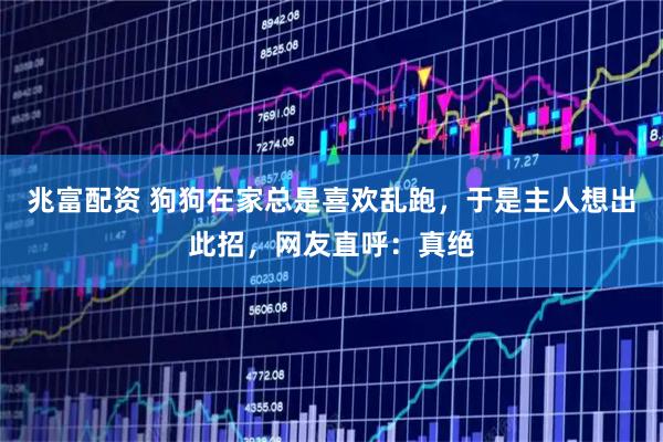 兆富配资 狗狗在家总是喜欢乱跑，于是主人想出此招，网友直呼：真绝
