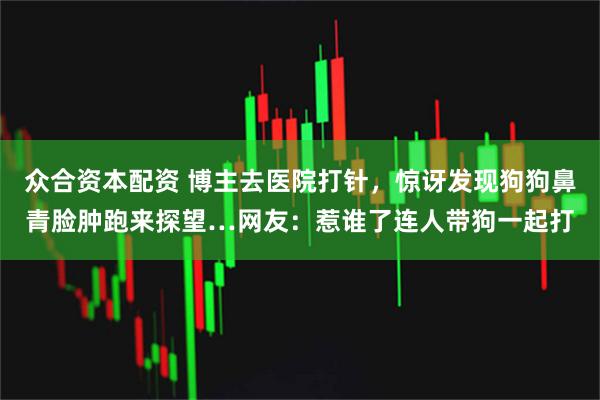 众合资本配资 博主去医院打针，惊讶发现狗狗鼻青脸肿跑来探望…网友：惹谁了连人带狗一起打
