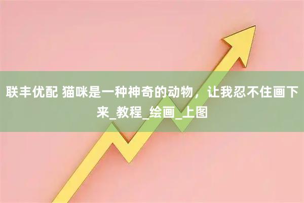 联丰优配 猫咪是一种神奇的动物，让我忍不住画下来_教程_绘画_上图