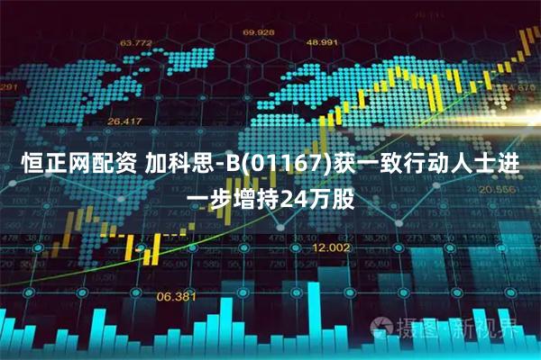 恒正网配资 加科思-B(01167)获一致行动人士进一步增持24万股