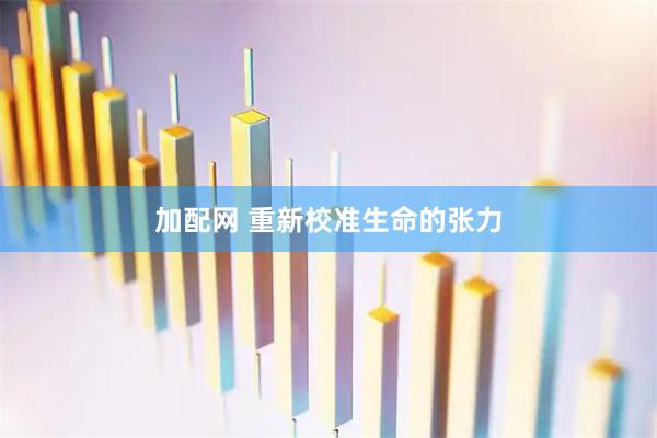 加配网 重新校准生命的张力