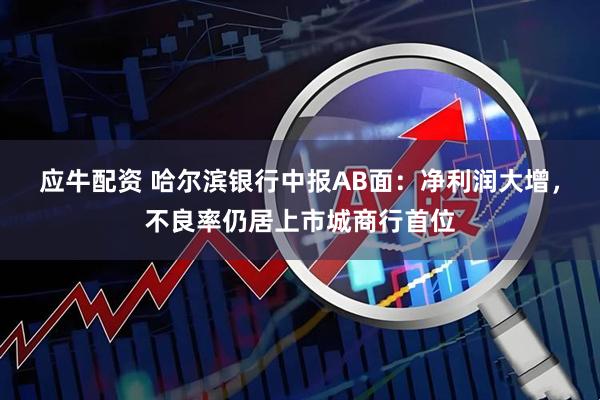 应牛配资 哈尔滨银行中报AB面：净利润大增，不良率仍居上市城商行首位
