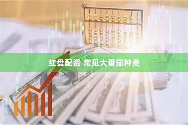 红盘配资 常见大番茄种类